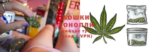 ГАЛЛЮЦИНОГЕННЫЕ ГРИБЫ Белоозёрский