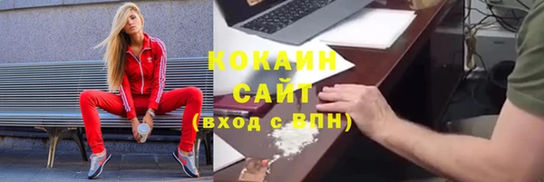 ECSTASY Белокуриха