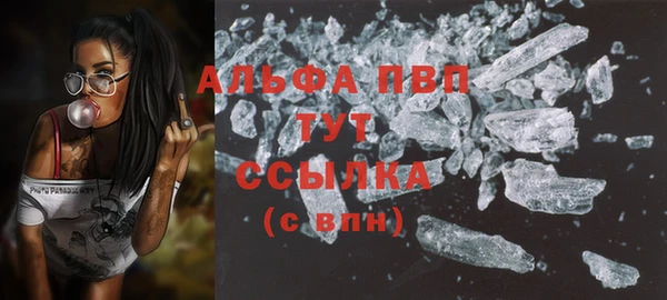ГАЛЛЮЦИНОГЕННЫЕ ГРИБЫ Белоозёрский
