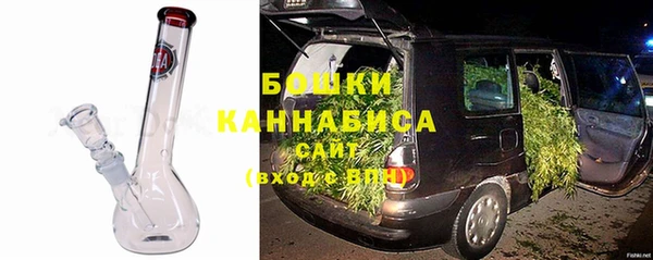 ECSTASY Белокуриха