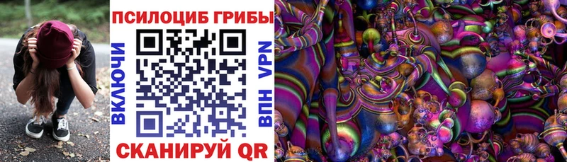 дарк нет официальный сайт  Покровск  Псилоцибиновые грибы Psilocybine cubensis 