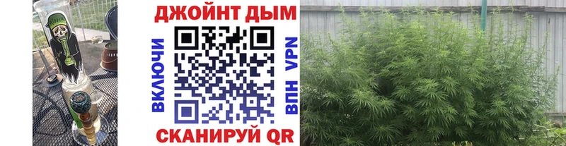 цены наркотик  Покровск  Шишки марихуана конопля 